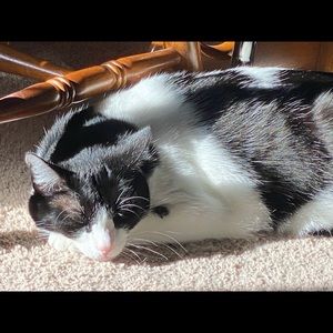 Meet your Posher, Karena